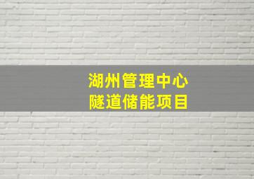 湖州管理中心 隧道储能项目